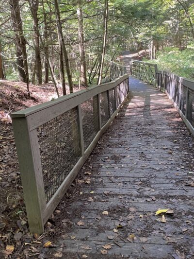 Fitzgerald Lake Conservation Area - Northampton, MA