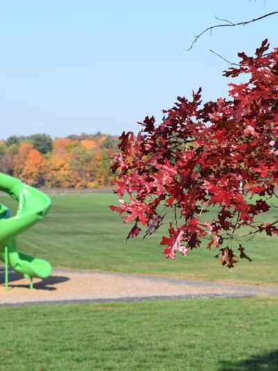 Florence Recreation Fields Baseball - Northampton, MA