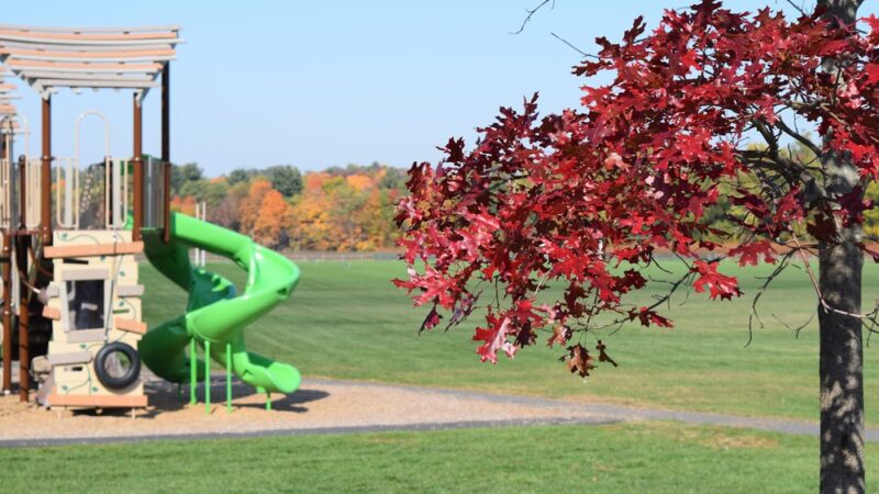 Florence Recreation Fields Baseball - Northampton, MA