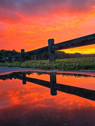 Florence Recreation Fields - Large Field - Northampton Parks & Recreation - Northampton, MA