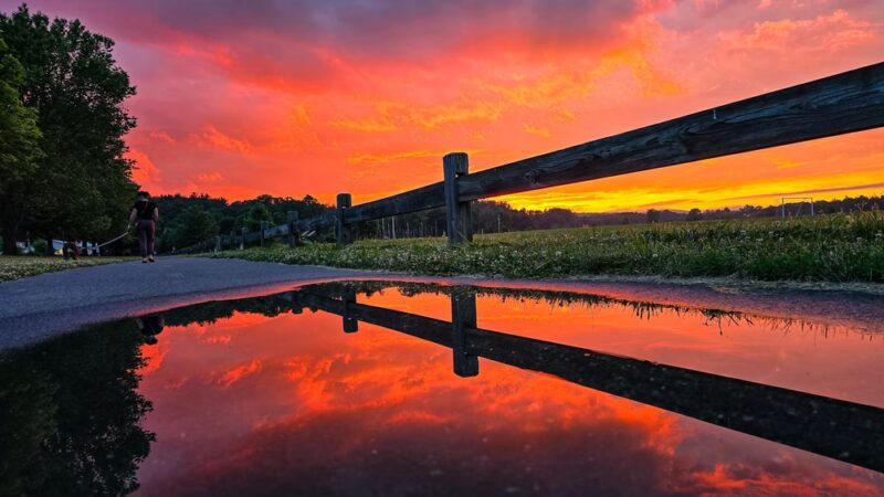 Florence Recreation Fields - Large Field - Northampton Parks & Recreation - Northampton, MA