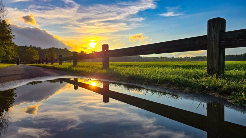 Florence Recreation Fields - Large Field - Northampton Parks & Recreation - Northampton, MA