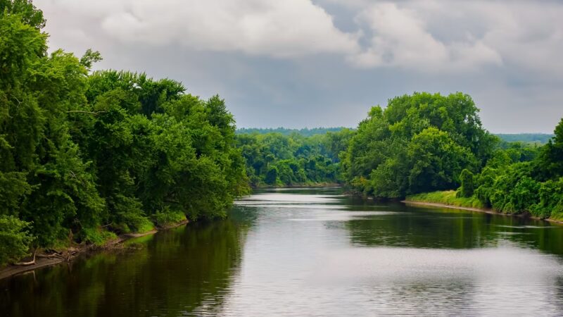 Norwottuck Rail Trail - Northampton, MA