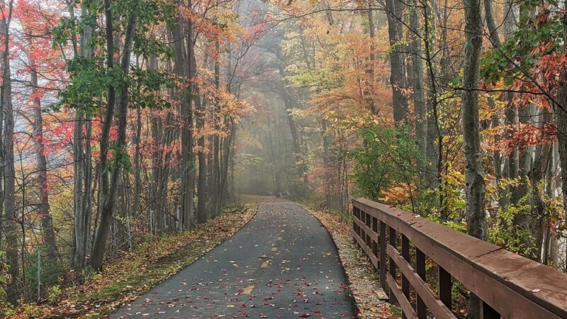 Norwottuck Rail Trail - Northampton, MA