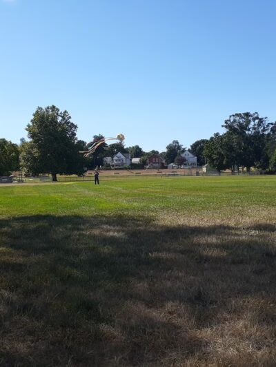 Sheldon Field - Northampton, MA