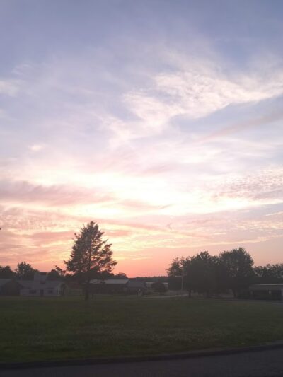 Sheldon Field - Northampton, MA