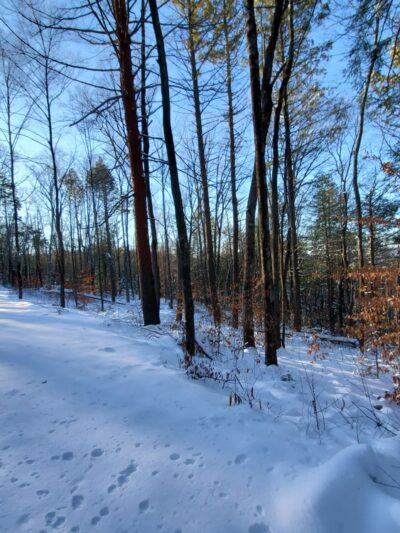 Northfield Mountain Recreation Center - Northfield, MA
