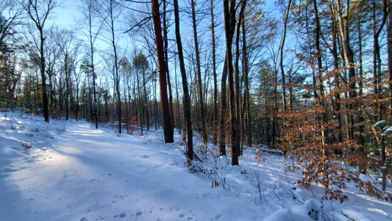Northfield Mountain Recreation Center - Northfield, MA