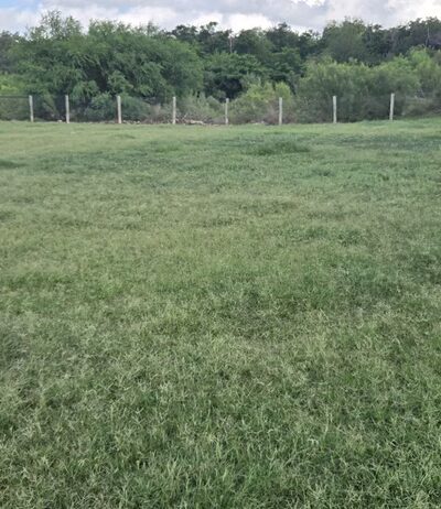 Nani Falcone dog park - Northwest, TX