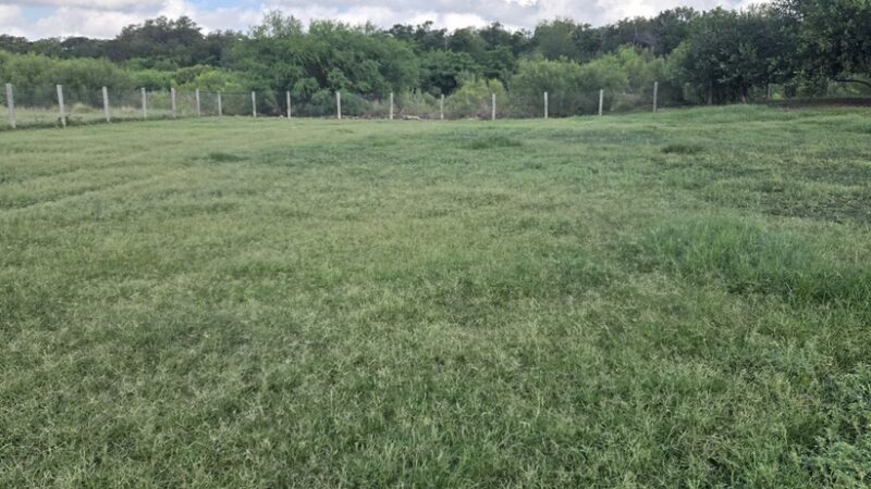 Nani Falcone dog park - Northwest, TX