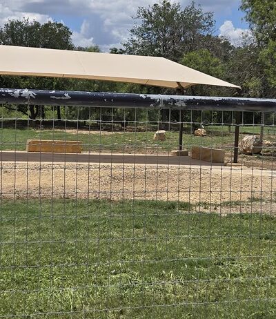 Nani Falcone dog park - Northwest, TX