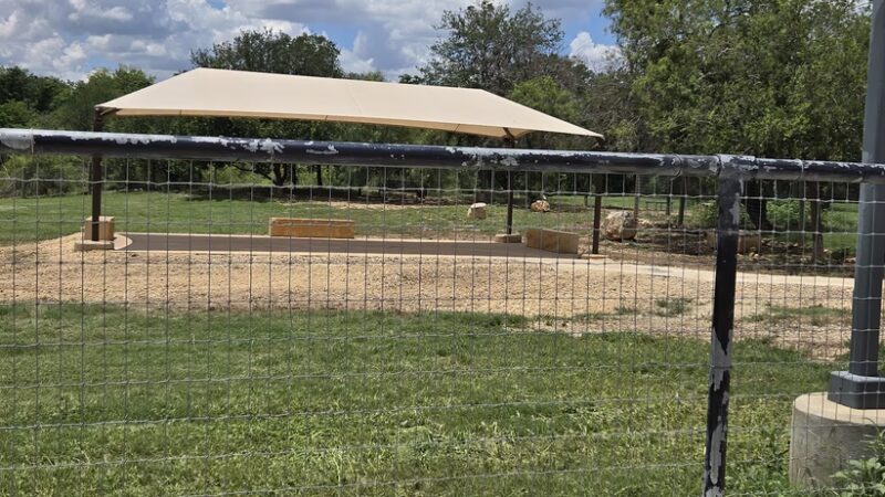 Nani Falcone dog park - Northwest, TX