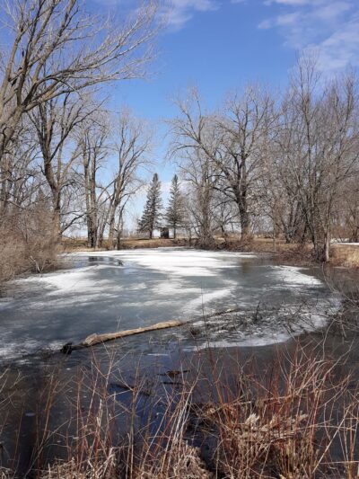 Worth County Lake Park - Northwood, IA