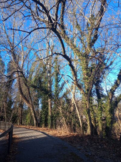 Overlook Park - Northwood, MD