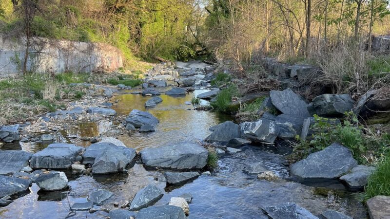 Overlook Park - Northwood, MD