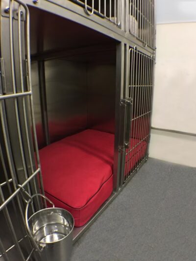 Dog Gone Smart - Norwalk, CT