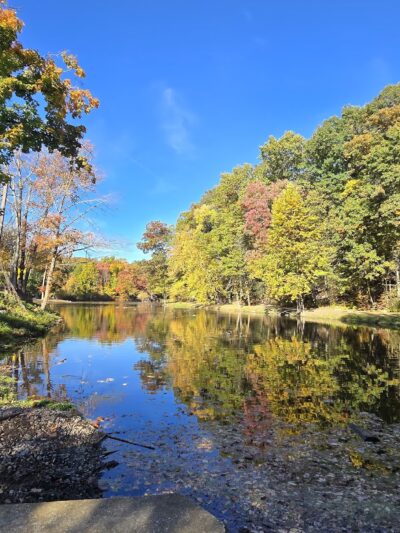 Mill Pond Park - Norwalk, CT