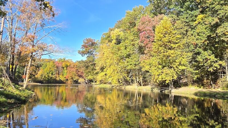 Mill Pond Park - Norwalk, CT