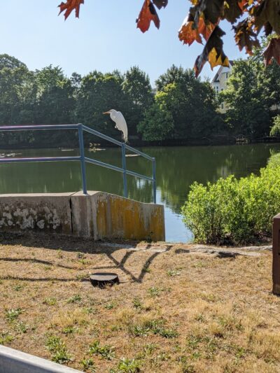 Mill Pond Park - Norwalk, CT