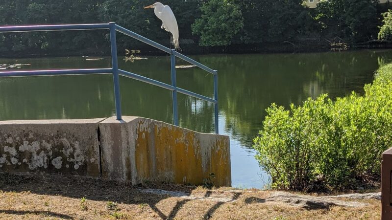 Mill Pond Park - Norwalk, CT