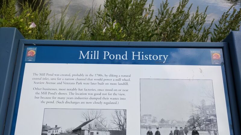 Mill Pond Park - Norwalk, CT