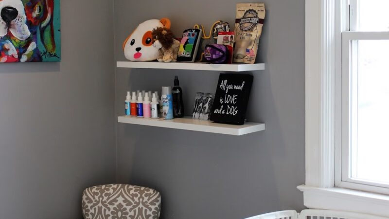 The Bark Club - Norwalk, CT