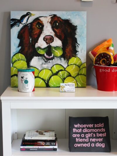 The Bark Club - Norwalk, CT