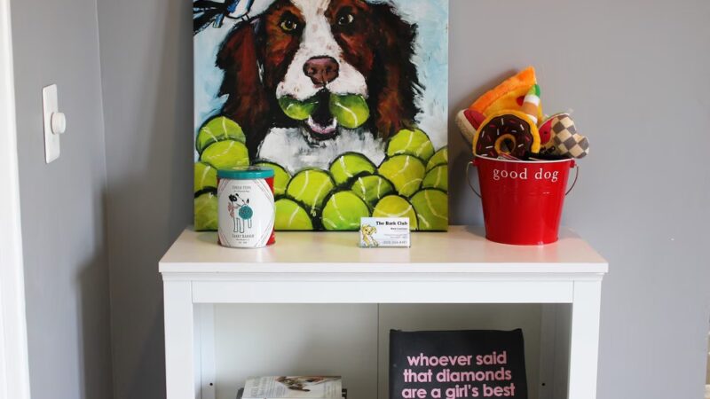 The Bark Club - Norwalk, CT