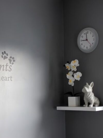 The Bark Club - Norwalk, CT