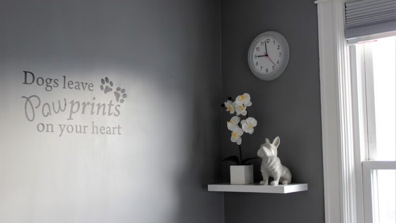 The Bark Club - Norwalk, CT