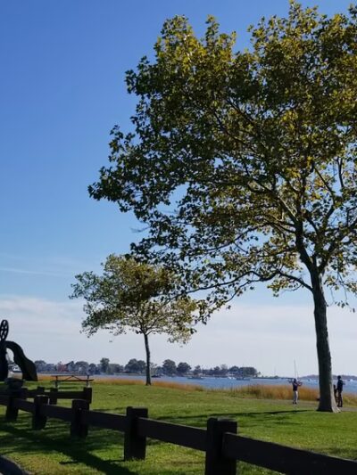 Veteran's Memorial Park and Marina - Norwalk, CT