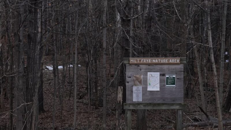 Norwich Nature Area Trails - Norwich, VT