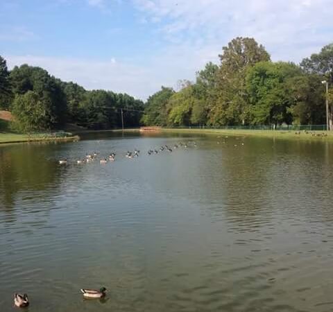 Darrell Almond Community Park - Norwood, NC