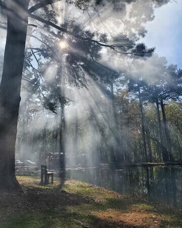 Norwood Campground - Norwood, NC