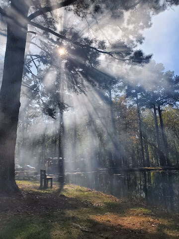 Norwood Campground - Norwood, NC