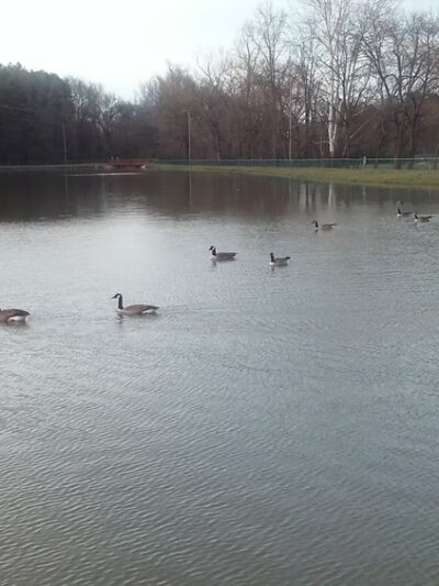 Norwood Park - Norwood, NC