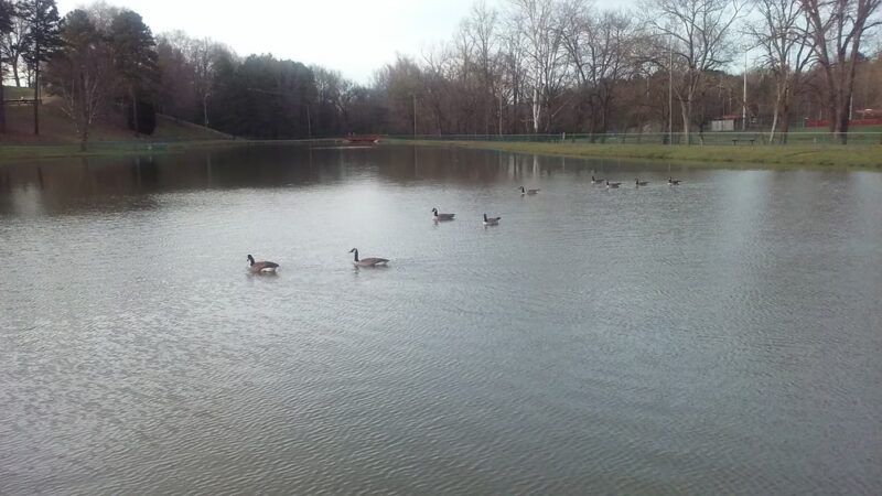 Norwood Park - Norwood, NC