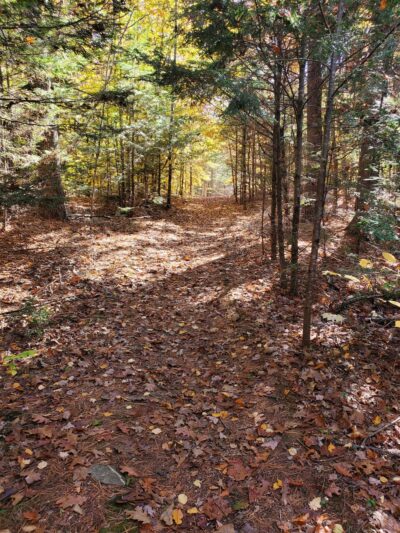 Terninko Boulder Loop Trail: - Nottingham, NH