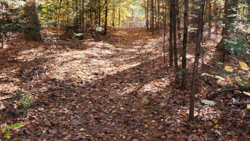 Terninko Boulder Loop Trail: - Nottingham, NH