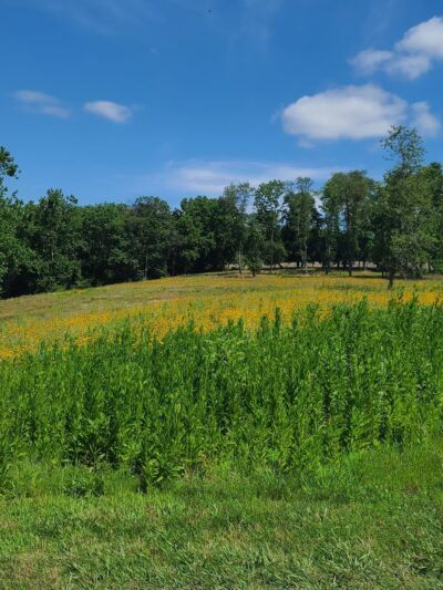 Nottingham County Park - Nottingham, PA