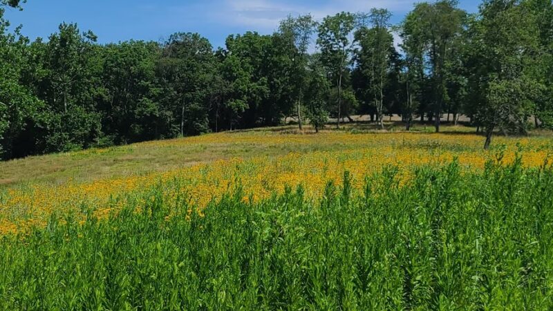 Nottingham County Park - Nottingham, PA