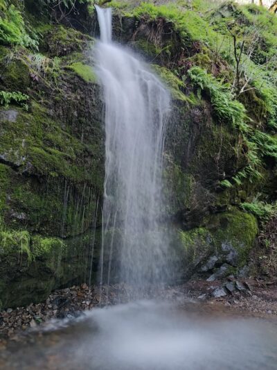 Buck Gulch Falls Trail - Novato, CA
