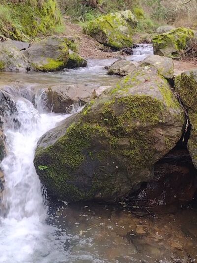 Buck Gulch Falls Trail - Novato, CA