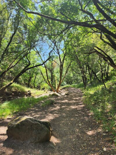 Buck Gulch Falls Trail - Novato, CA