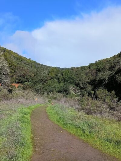 Buck Gulch Falls Trail - Novato, CA