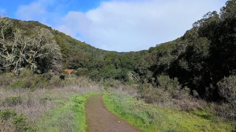 Buck Gulch Falls Trail - Novato, CA