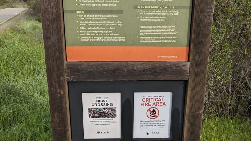 Buck Gulch Falls Trail - Novato, CA