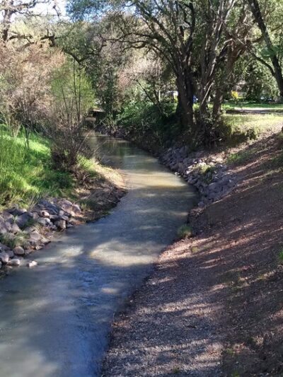 Clark A Blasdel Park - Novato, CA