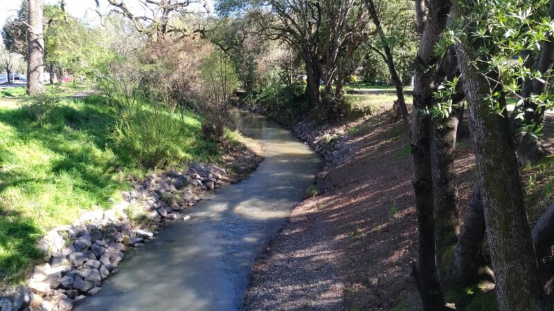 Clark A Blasdel Park - Novato, CA