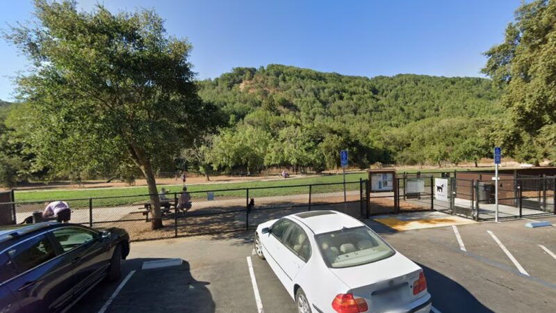 Dog run - Novato, CA